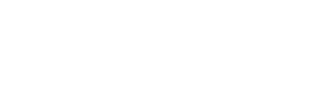 FLM Visuals Logo